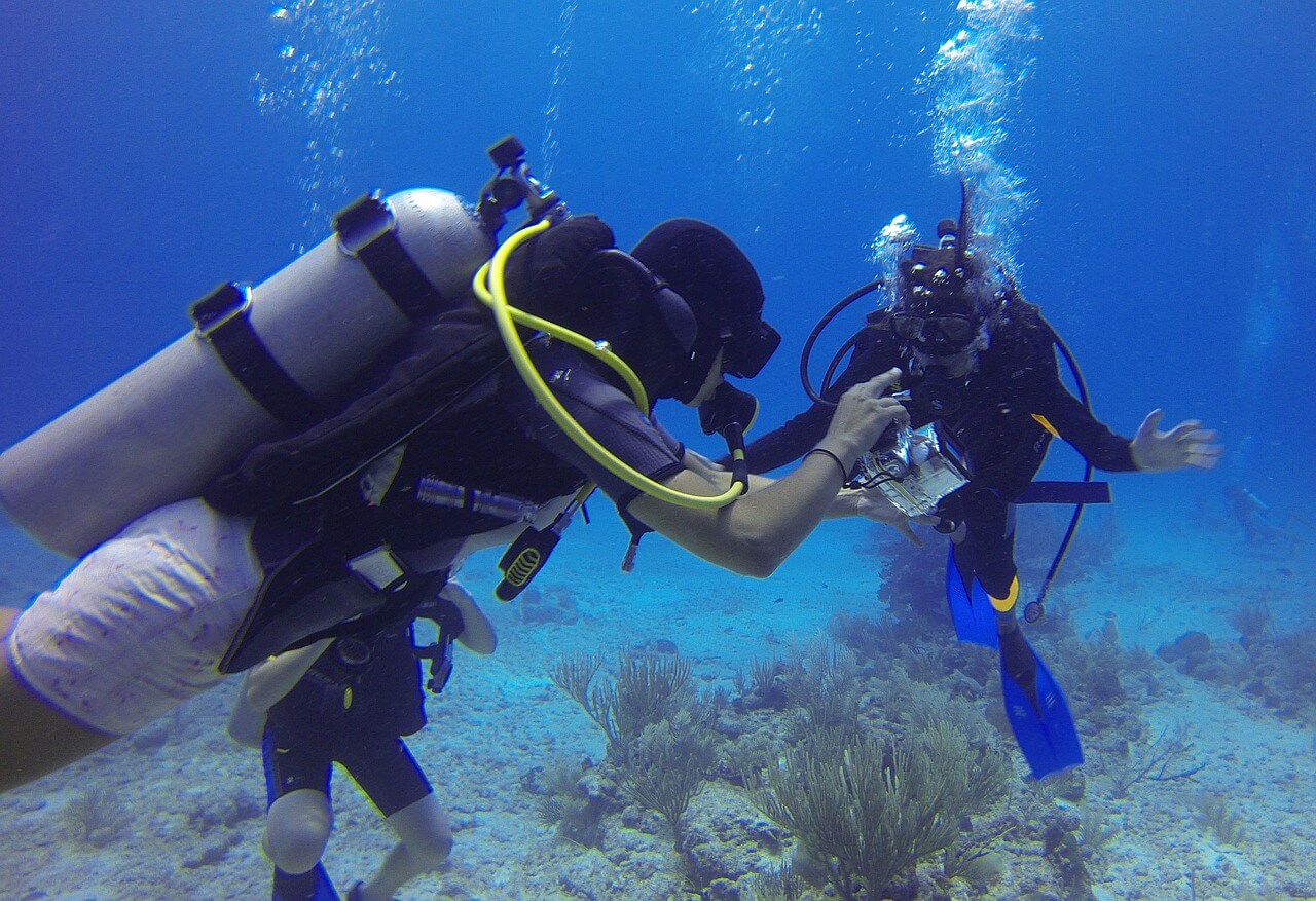 scuba diving fins