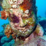 Head statue covered by coral