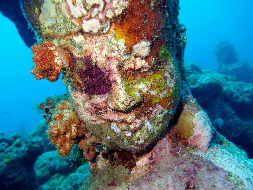 Head statue covered by coral
