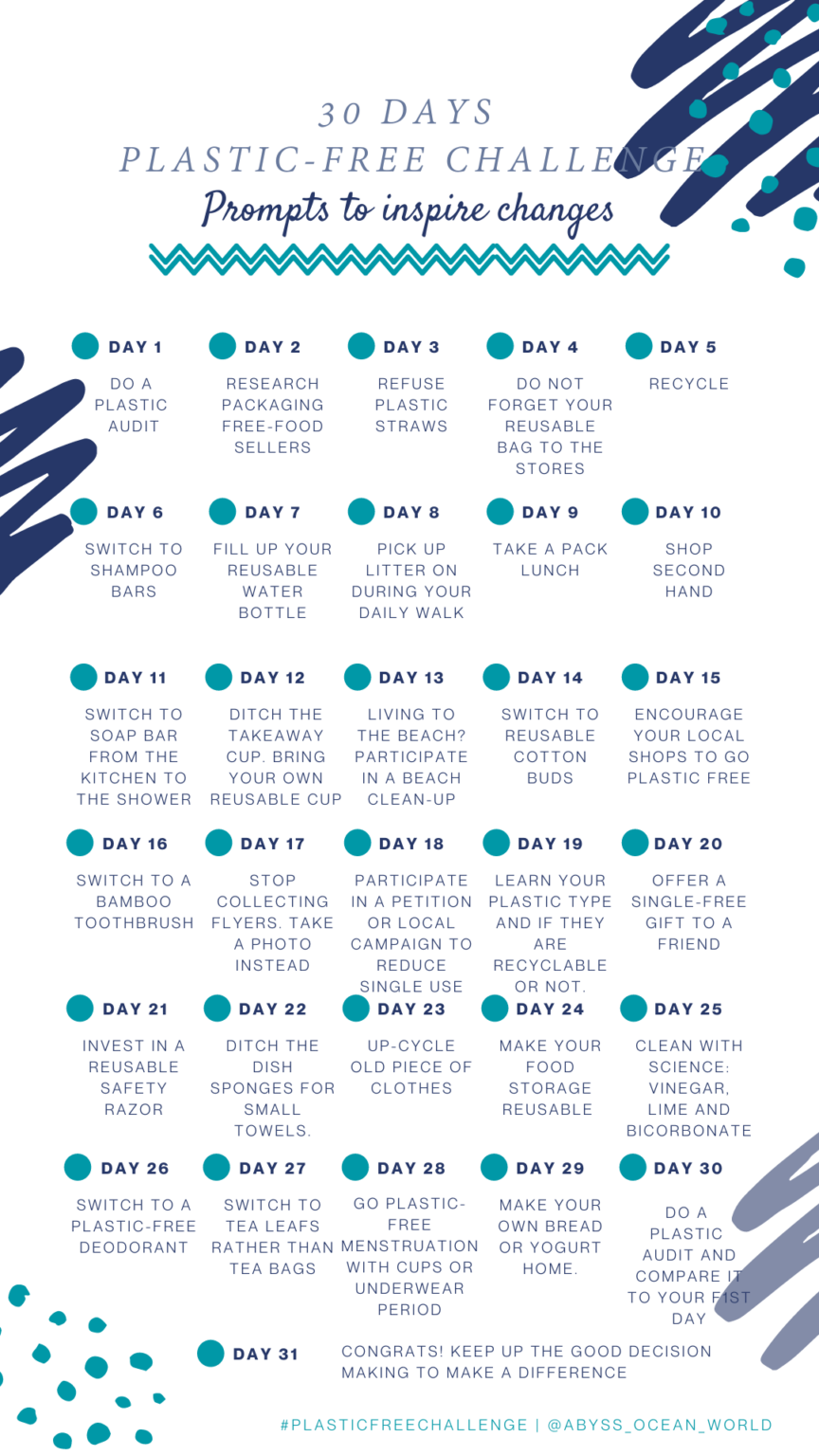 Image showcasing How can I start living plastic-free – 8 easy tips? | Abyss Ocean World
