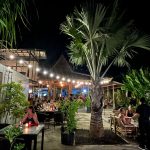 Outdoor restaurant with party lights, palm trees, and customer eating