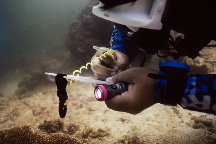 Recording Data from a survey dive